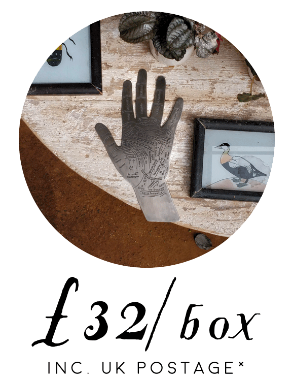 Deluxe Sabbat Box. Picture of a brass palmistry hand on a wooden table with two handpainted slide showing a bird and an insect.